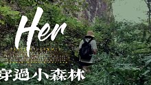 穿过小森林