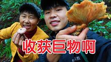 和老妈进山找野生菌子，直接暴富呀！