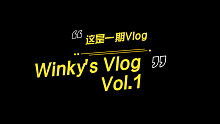 【Winky诗】这是一期Vlog之Winky诗大战环球影城又名我的一个咋呼朋友