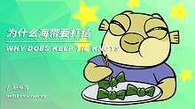 为什么海带要打结？