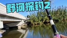 #休闲野钓 #喜欢钓鱼的双击加关注 #钓鱼人的快乐