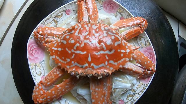 阿平赶海收获真不错,回家后清蒸兰花蟹,那味道简直是人间美味