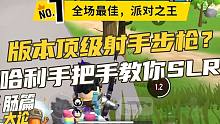 【肠篇大论】版本顶级射手步枪？哈利手把手叫你SLR