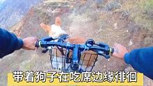 带着狗子在吃席的边缘徘徊！ #骑行旅行风景 #山地自行车 #拇指防抖相机GO2
