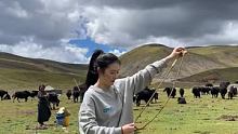 #西藏 #牧区生活最自在  来西藏吧，饿了给你煮牦牛肉火锅，渴了给你煮牦牛奶，无聊了，带你去骑马……