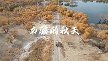 今天是秋天的最后一天，明天立冬，分享南疆秋色！