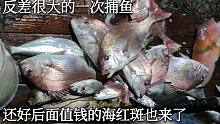 彪哥这次捕鱼刚开始差点绝望，后面却是激情澎湃，大货值钱货都来了