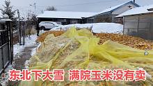 东北一夜入冬？满院玉米被大雪覆盖，一家人躲屋里安逸的吃早饭