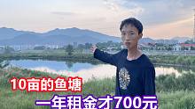 小两口租下10亩的鱼塘，一年租金才700元，不到一年就后悔了