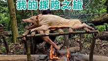 金刚亚马逊-原始丛林生存，第138集-熏野猪，生存，荒野求生，野外生存