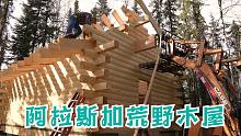 阿拉斯加小木屋-建造阿拉斯加小木屋-第六周
