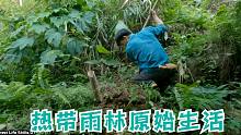 热带雨林生存-荒野求生，第124集，野鸡肉和鱼类的特殊食品，野外生存