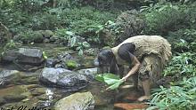 原始丛林人-6个月的丛林生存，野外生存-第84集，继续在水里寻找食物，孤独的荒野