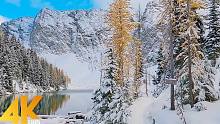 沿着蓝湖小径、北喀斯喀特地区的4K超高清冬季森林漫步