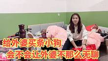 把狗狗给外婆寄养，结果小贝贝深得老佛爷宠爱，给外婆也买一只去