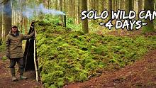 在原始荒野中野营，独自生活4天-丛林动物庇护所-觅食-生存