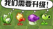 不管厉不厉害都要升级的植物？为了过这些关卡