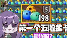 植物大战僵尸：第一个五阶金卡给了保龄泡泡！值得吗？