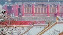 一晃两三年，匆匆又冬天，有人再见，有人再也不见。#故宫雪景 #立冬 #2021初雪大赏