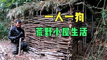 一人一狗森林里野营ー丛林工艺技能：原始庇护所建筑、生存小房子、离网生活、DIY