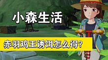 小森生活, 赤羽鸡王诱饵怎么得,注意啦这可是兽王的专属诱饵