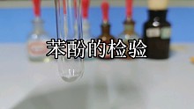 【化学实验】苯酚的检验