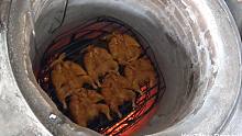 巴基斯坦白沙瓦街头食品-烤鸡