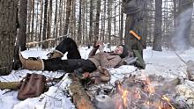 美女小姐姐加拿大荒野露营-寻找新的丛林小屋：松针茶，火炉和营地午餐