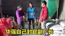 常输外出不在家，华强自己封官当副厂长，三人把猪场搭理井井有条