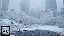 纽约中央公园降雪，4K超高清风景-冬天在下雪的中央公园散步