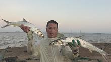 小池撒网把自己都撒下海，大鱼连连上货抓不停，收获不错很开心