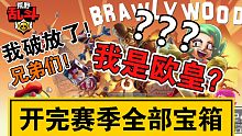 #开箱#荒野大乱斗#手机游戏