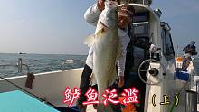 一到钓点就狂拉，最近这鲈鱼太疯狂，上海钓友直呼这鱼钓的太过瘾
