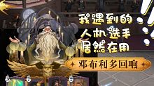 【哈利波特魔法觉醒】我遇到了装配邓布利多回响的人机选手