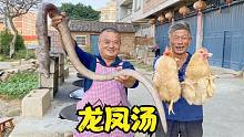 260一斤的深海“土龙”，炖上2只老母鸡，这龙凤汤太补了！