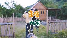 海岛生活3，进山探索获取到美味食物，海滩捡垃圾竟有如此收货