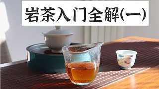 【清山茶事】号称老茶客的终极追求-武夷岩茶，带你从入门到进阶全方位科普