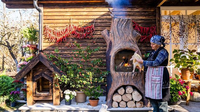 stuffed turkey in our new oven