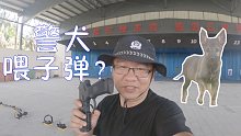 警界平头哥，一直在干架的路上！漠叔揭秘小警犬训练过程，乘机背地里说教官坏话。