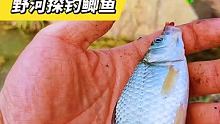 排水口鲫鱼连竿如果您也喜欢钓鱼，喜欢野钓，请给海弟一个免费的双击，感谢支持#每周打卡 #钓鱼 #野钓