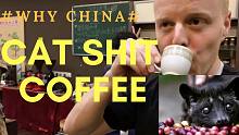 【Why China?】CAT SHIT COFFEE 猫屎咖啡
