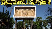 【丛林建筑】越南妇女丛林生活，建造安全的树上小屋，她是怎么做到的？