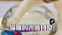 快乐就是这么简单！给它们安排两条小鱼吧！能玩能看还能让喵主子多喝水！