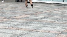 大丈夫何患无期