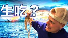 老外赶海，现抓现吃，章鱼还会咬人？