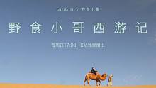 我回来了！【野食小哥西游记】预告