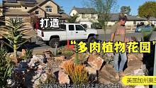 多肉植物花园设计