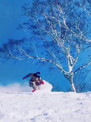 经不经典我不管，我就喜欢这一款！#滑雪 #视频剪辑 #雪地里撒欢 