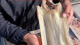 #鳗鱼干 #渔民日常 #渔业  风干晾晒的鳗鱼干，可以油煎，红烧，清蒸