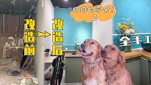 亲手改造狗狗们破旧的10平方米零食小店【金毛海德和格格】